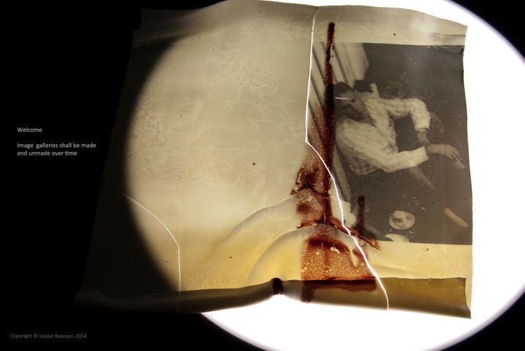 ShardCountry2013_BoscacciPublications2014_3