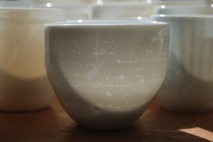 louise boscacci 2009